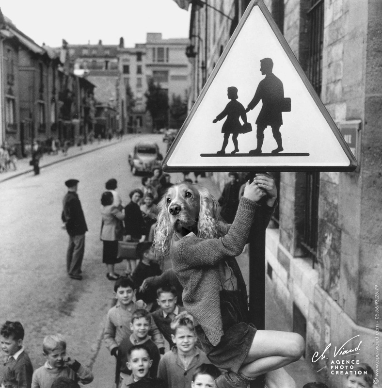 Portrait animal noir et blanc façon Robert Doisneau