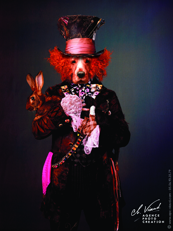 Portrait de chien façon Alice au pays des Merveilles