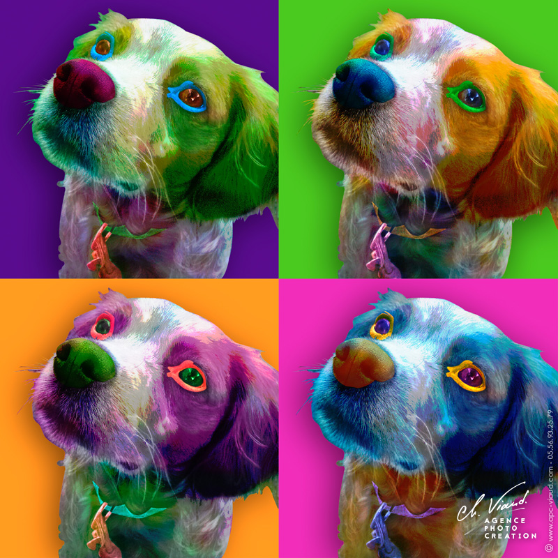 Portrait personalisé façon Andy Warhol