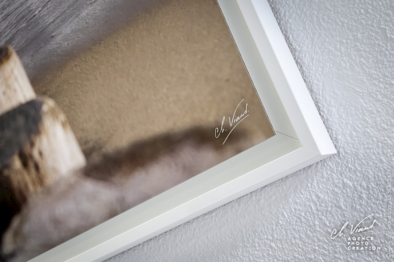 angle de la grosse caisse américaine blanche