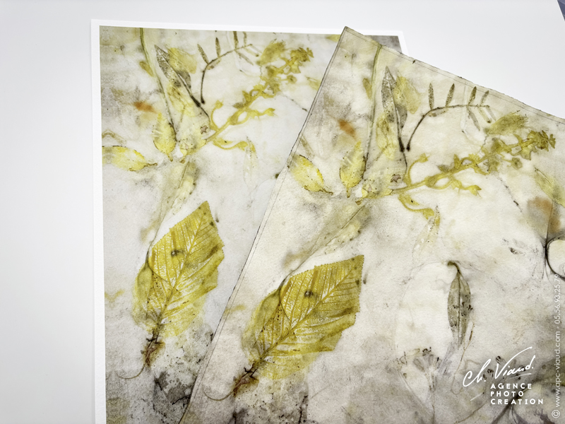 Reproduction d'une œuvre originale en studio photo pour impression sur papier coton d'art william turner hahnemuhle